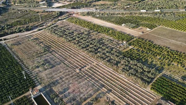 Finca agrícola de 1,85 ha en venta en Vinaros, Castellon