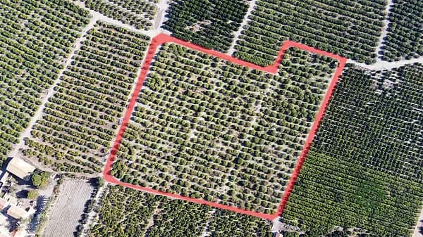 Finca rústica de 3,4 ha en venta en Murcia