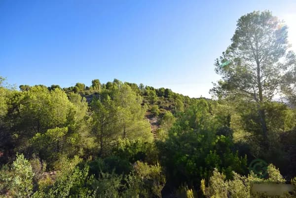 Finca rústica de 21,5546 ha en venta en Alcúdia de crespins (l'), Valencia/valència