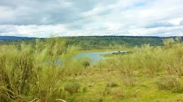 Finca rústica de 500 ha en venta en Cáceres