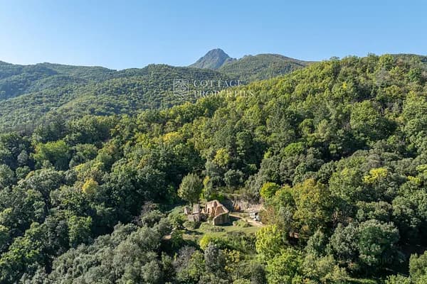Finca rústica de 26,2 ha en venta en Arbucies, Girona