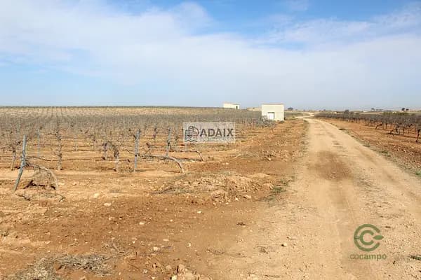 Finca agrícola de 27 ha en venta en Ciudad real