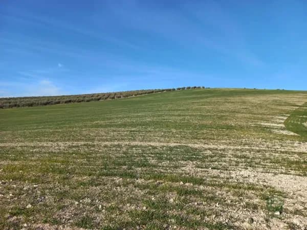 Finca agrícola de 13,37 ha en venta en Peal de becerro, Jaen