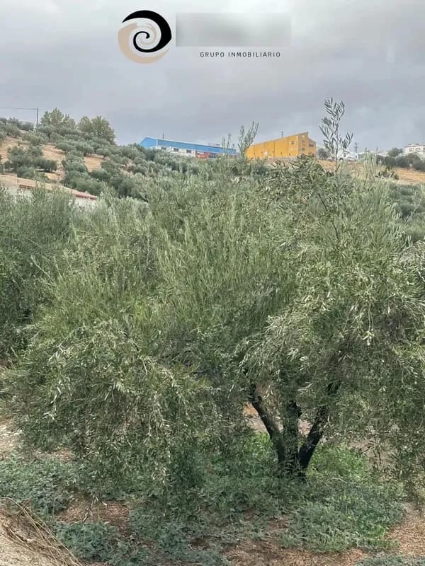 Finca agrícola de 0,46 ha en venta en Jaén