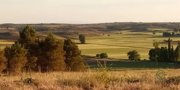 Finca agrícola de 8 ha en venta en Soria