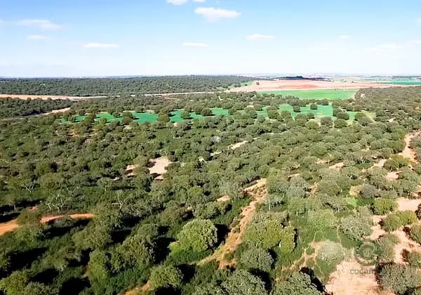 Finca rústica de 515 ha en venta en Zamora