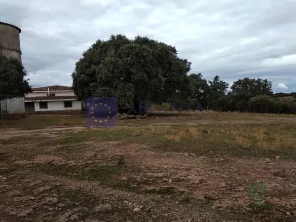 Finca cinegética de 290 ha en venta en Cáceres