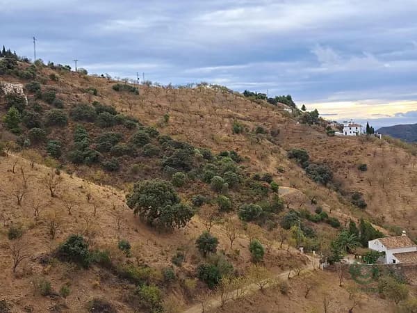 Finca rústica de 10 ha en venta en Málaga, Malaga