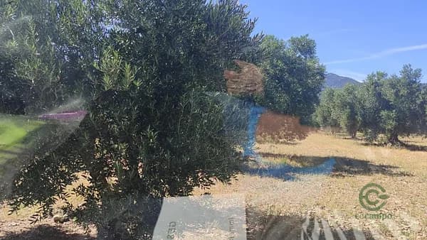 Finca agrícola de 0,6793 ha en venta en Cantallops, Girona