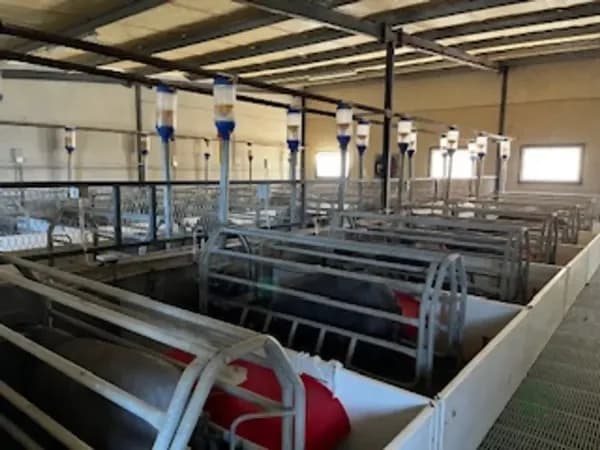 Finca rústica de 400 ha en venta en Huelva