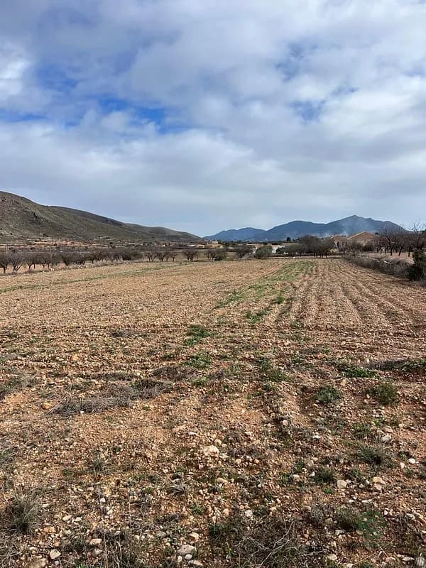 Finca agrícola de 0,82 ha en venta en Alicante