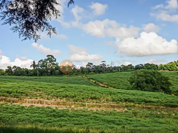 Fazenda rustica de 2,05 ha para venda em São paulo