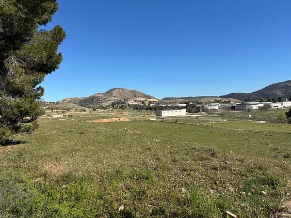 Finca rústica de 0,4 ha en venta en Elche pedanias, Alicante