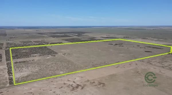 Finca ganadera de 32 ha en venta en Buenos aires