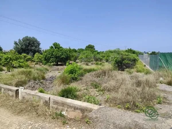 Finca agrícola de 0,19 ha en venta en Sueca, Valencia