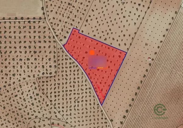 Finca agrícola de 0,5 ha en venta en Valdepenas, Ciudad real