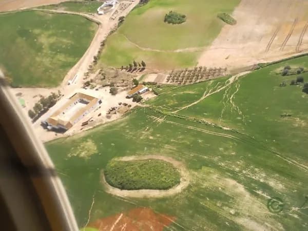 Finca rústica de 462 ha en venta en Sevilla