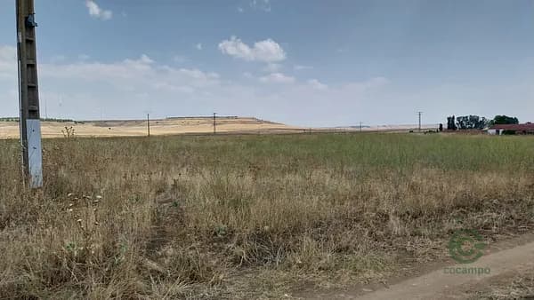 Finca rústica de 1,588 ha en venta en Zamora