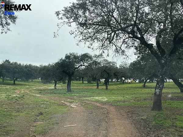 Finca rústica de 37 ha en venta en Badajoz