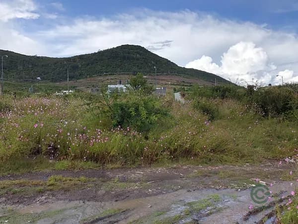 Terreno industrial de 0,06 ha en venta en Michoacán