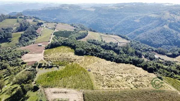 Fazenda rustica de 4 ha para venda em Rio grande do sul