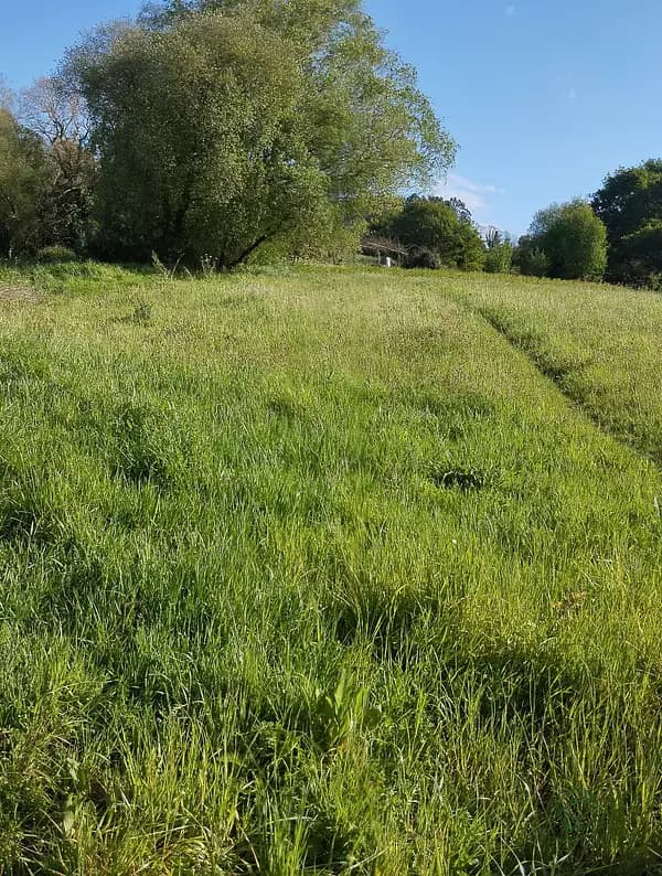 Finca rústica de 0,36 ha en venta en La coruña