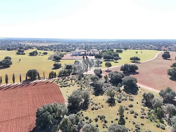 Finca rústica de 2700 ha en venta en Villahermosa, Ciudad real