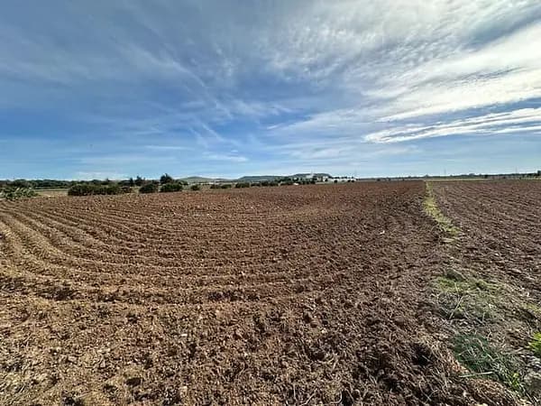 Finca agrícola de 1045 ha en venta en Huelva
