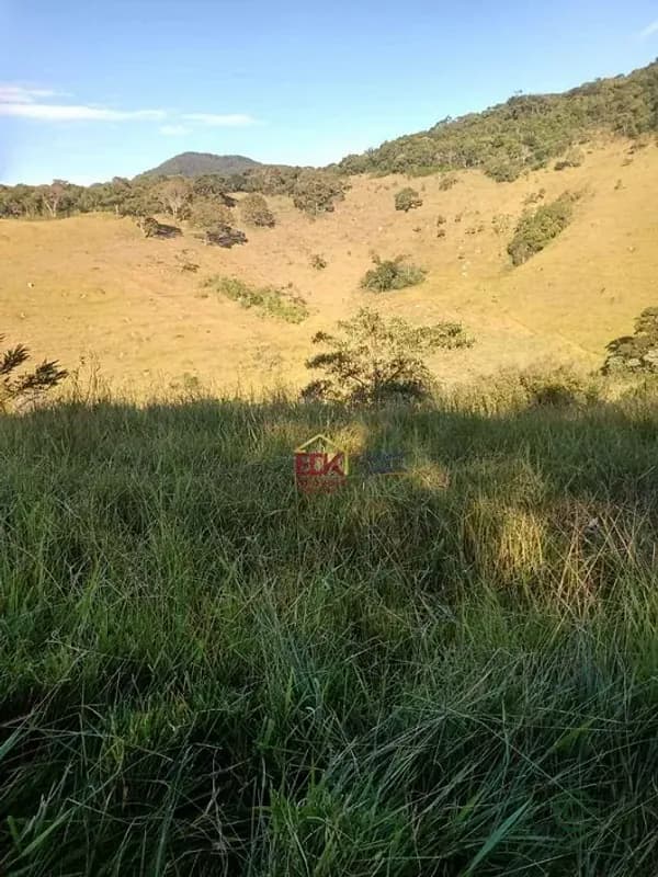 Fazenda rustica de 60,5 ha para venda em São paulo