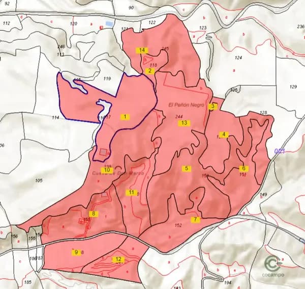 Finca rústica de 49 ha en venta en Granada