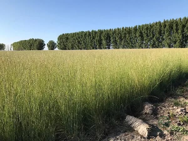 Rustic property of 714 ha for sale in Mendoza