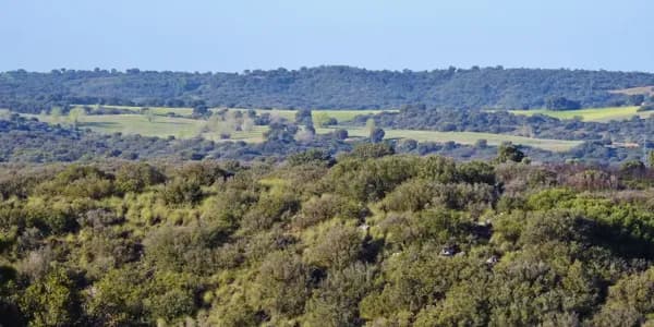 Finca rústica de 1000 ha en venta en Madrid