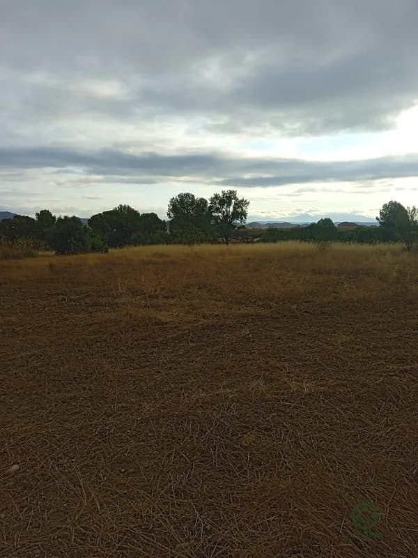 Finca rústica de 1,18 ha en venta en Lorca, Murcia