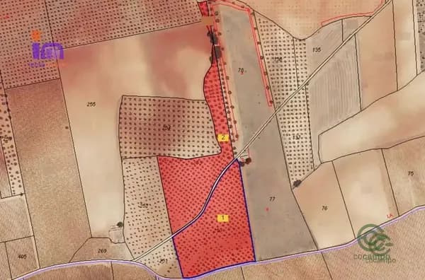 Finca agrícola de 0,0004 ha en venta en Valdepenas, Ciudad real