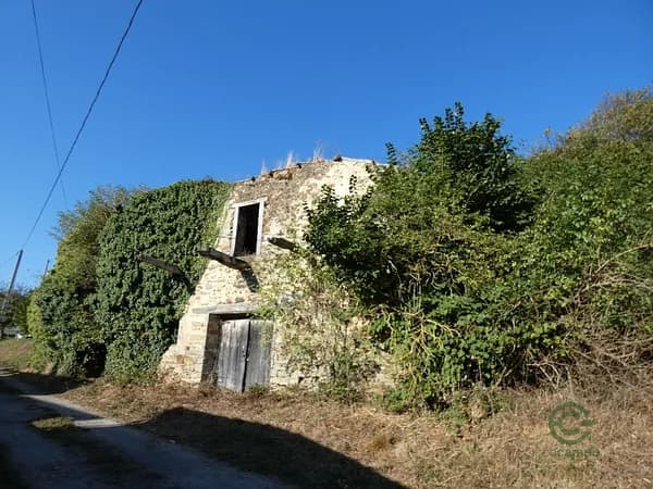 Finca agrícola de 0,31 ha en venta en Asturias