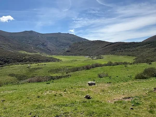 Finca ganadera de 636 ha en venta en Palencia