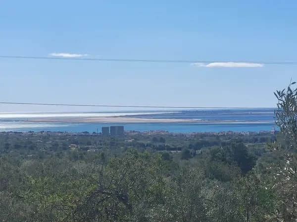 Finca rústica de 4,1 ha en venta en Ampolla (l`), Tarragona