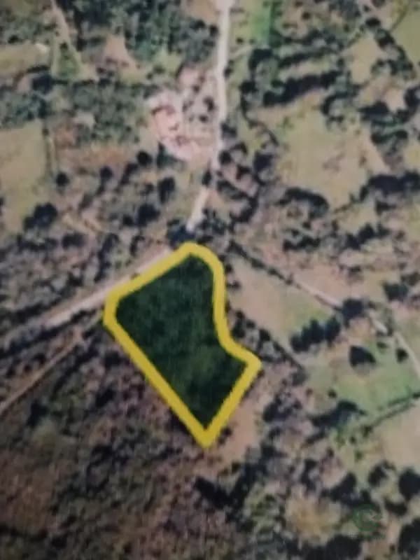 Finca agrícola de 0,6 ha en venta en Pontevedra