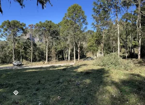Fazenda rustica de 2 ha para venda em Santa catarina