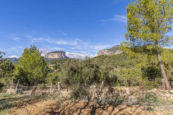 Finca rústica de 12,5 ha en venta en Alaró, Baleares