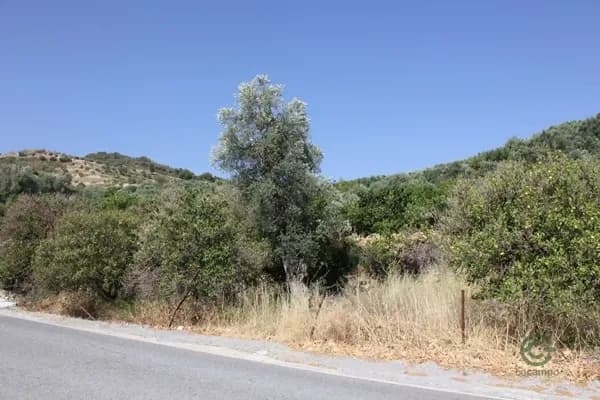 Finca agrícola de 0,3855 ha en venta en El valle, Granada