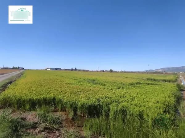 Finca agrícola de 0,58 ha en venta en Sant carles de la rapita, Tarragona