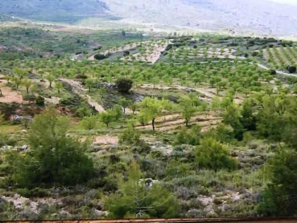 Finca agrícola de 16 ha en venta en Valencia