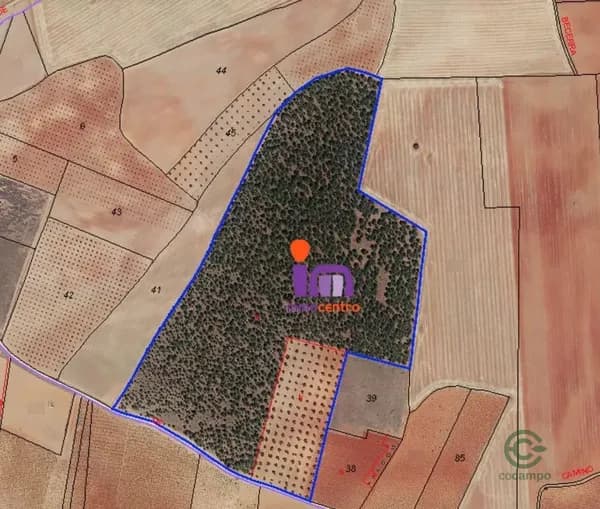 Finca forestal de 13,96 ha en venta en Valdepenas, Ciudad real