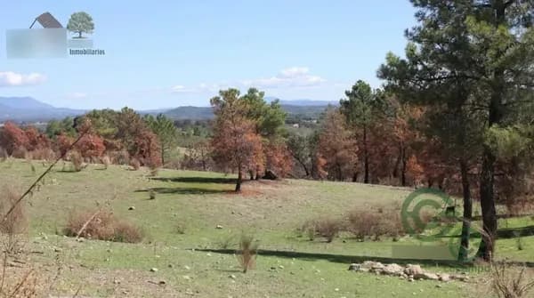Finca rústica de 32 ha en venta en Cáceres