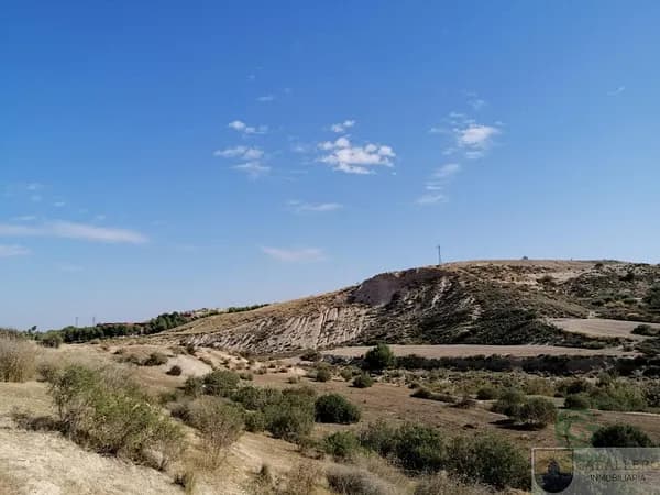 Finca agrícola de 5,8916 ha en venta en Murcia