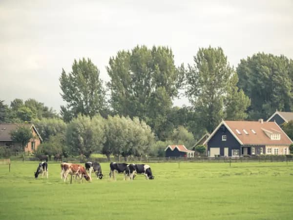 Hipotecas de Fincas Rústicas: Características y Requisitos