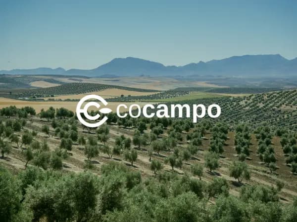 Descubrí Cocampo