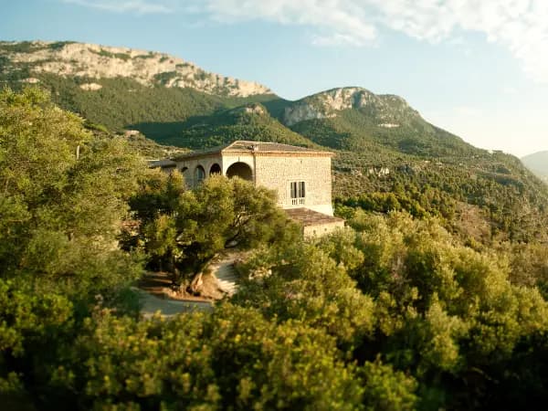 Aspectos que debés considerar antes de comprar una finca rústica