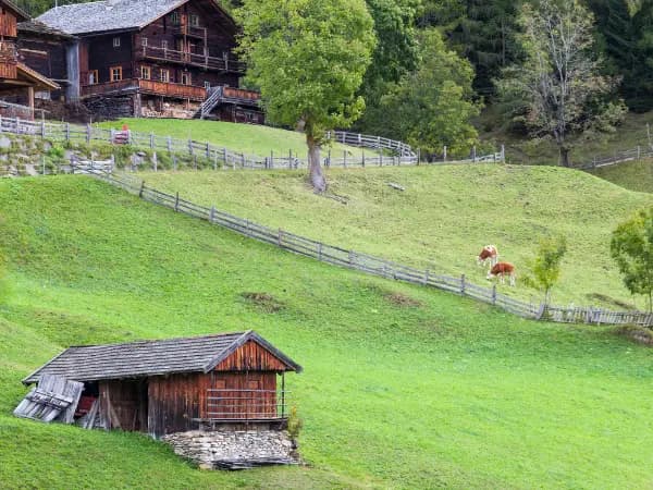 Ley de arrendamientos rurales: Entendé el alquiler de campos en Argentina